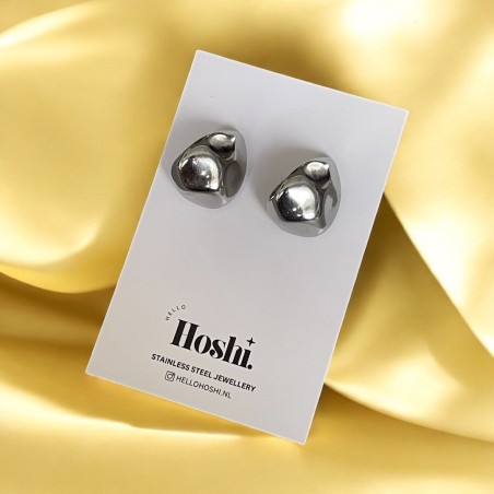 oorbellen Hoshi 004z (19.95)