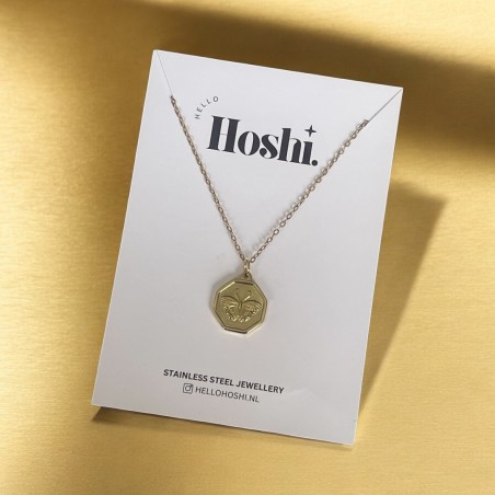 ketting Hoshi fly-g (17.95)